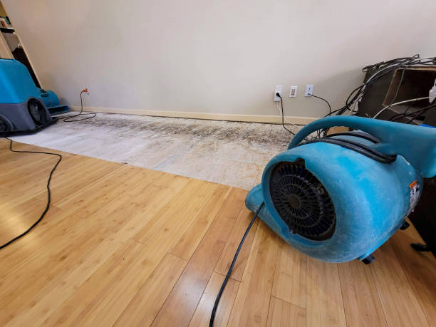 Professional Basement Flood Cleanup technician working in Tooele, UT